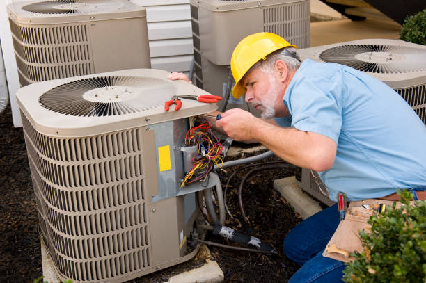 Best HVAC air duct cleaning  in Nyon Lake, CA